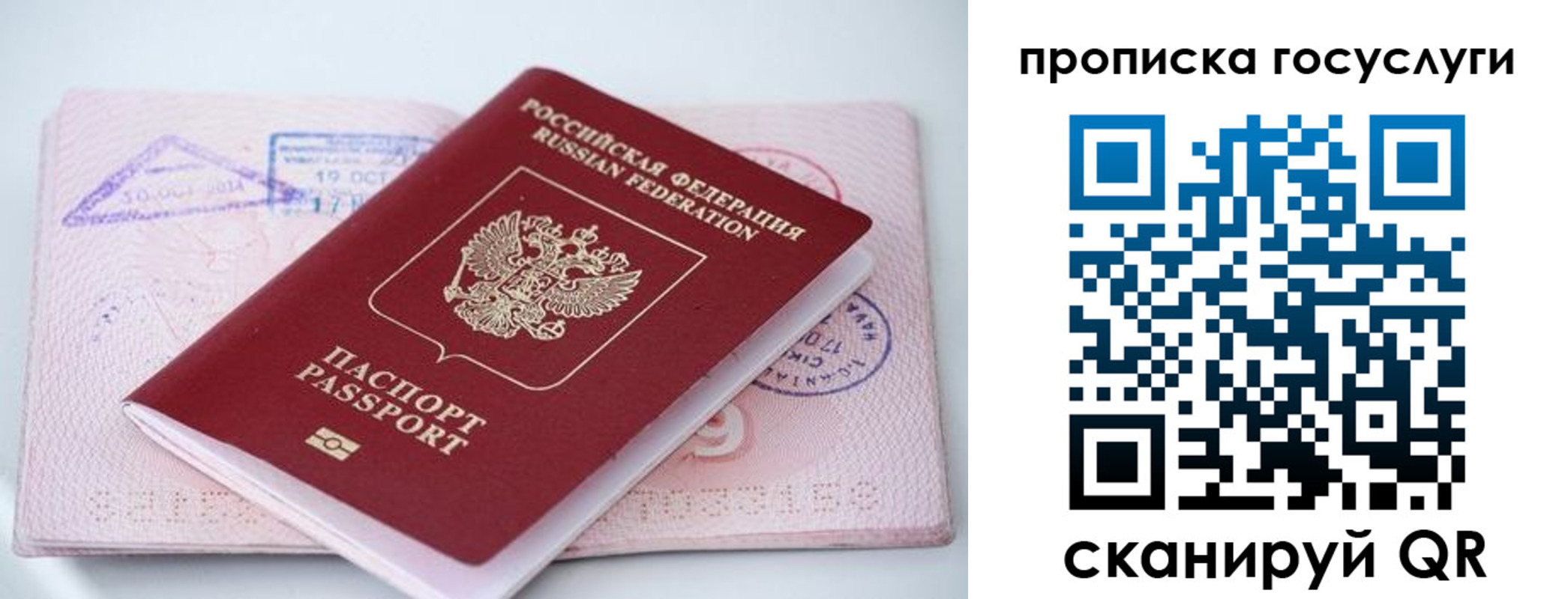 прописка законно в Ясногорске